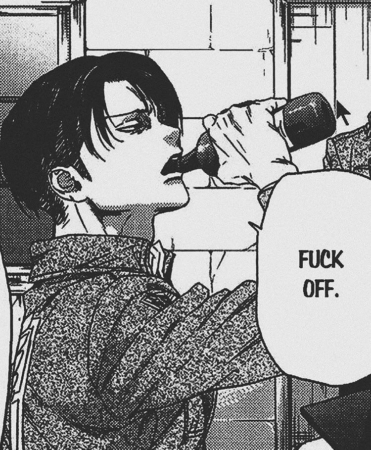 Levi Ackerman 