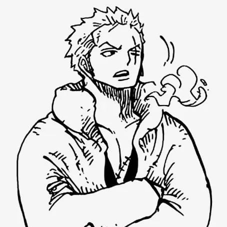 HS Roronoa Zoro