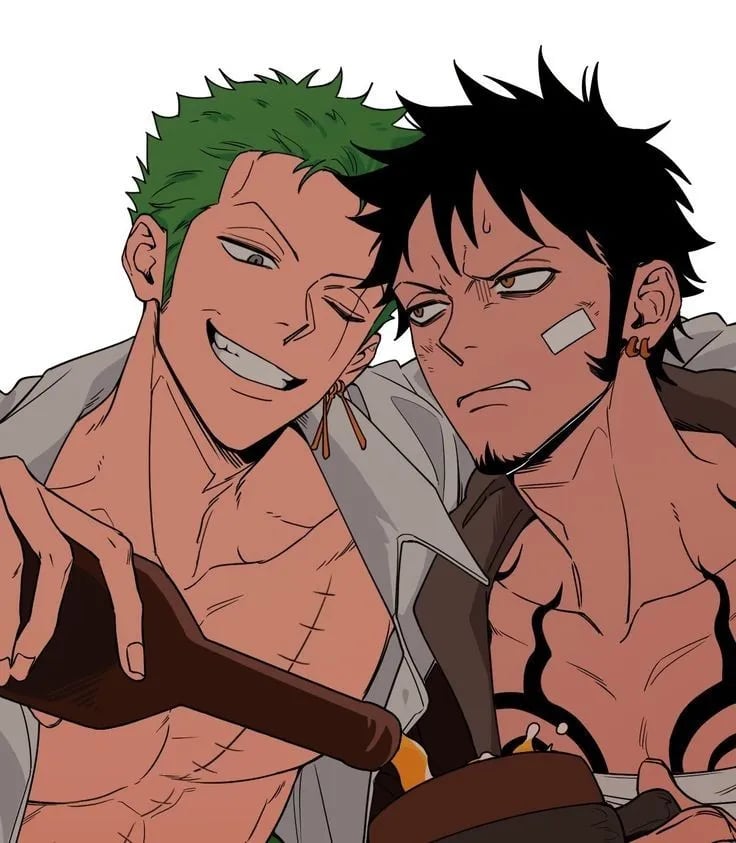 Zoro and Law