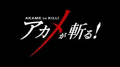 Akame ga kill RPG