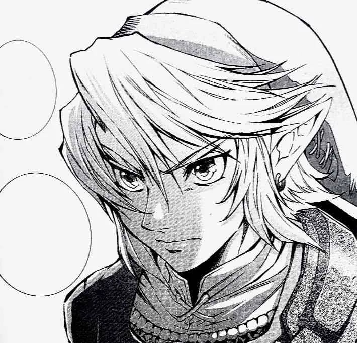 Link (Twilight Princess)