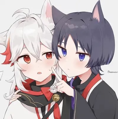 your cats kazuscara