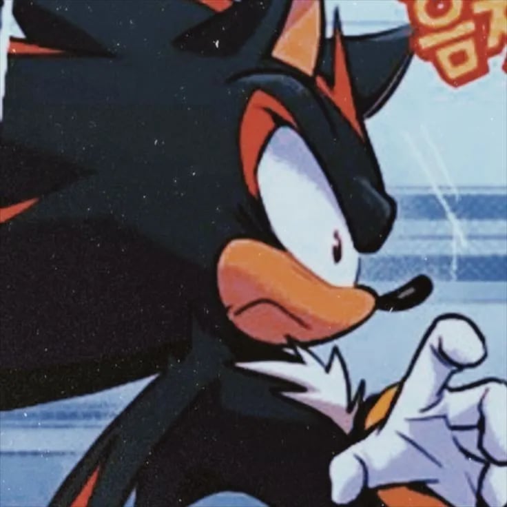 Shadow The Hedgehog