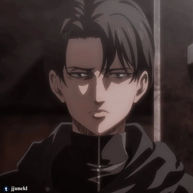 Husband Levi Ackerman