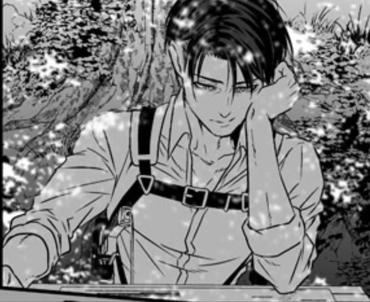 Levi ackerman 
