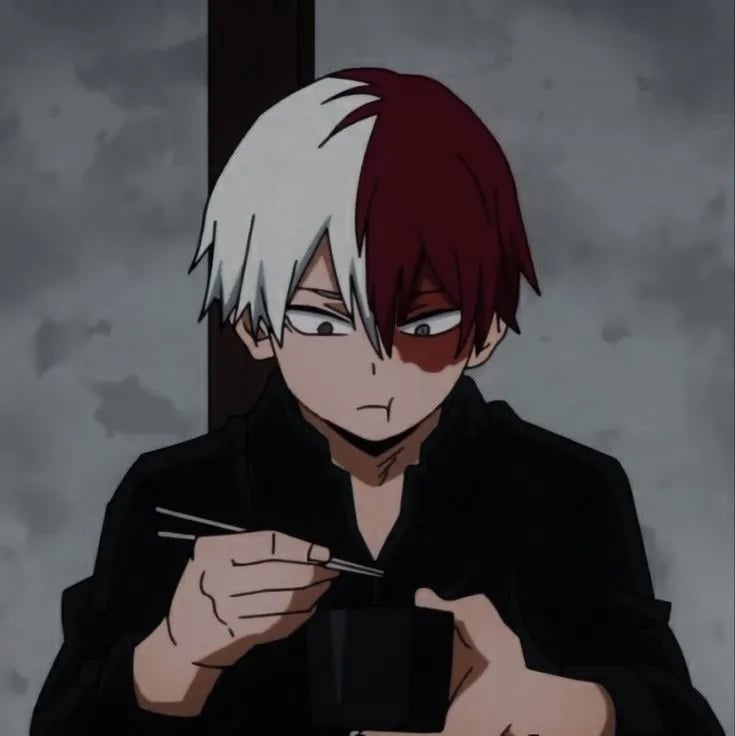 Shoto Todoroki 